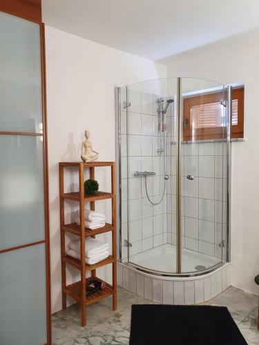 a bathroom with a shower with a glass door at Ferienhaus Panorama in Rechnitz