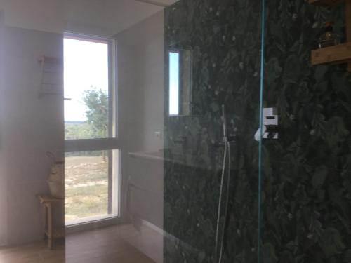 ein Bad mit einer Glasdusche und einem Fenster in der Unterkunft Agriturismo Il cielo in terra in SantʼOreste