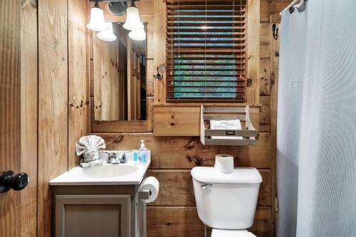 a bathroom with a toilet and a sink and a mirror at Beary Patch Hill Hot Tub 9 Miles to Great Smoky Mtn National Park in Sevierville