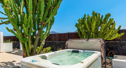 una vasca da bagno seduta di fronte a un cactus di Jacks Place Villa PlayaBlanca Pool Spa a Playa Blanca