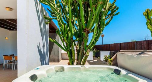 una vasca da bagno seduta accanto a una pianta su un patio di Jacks Place Villa PlayaBlanca Pool Spa a Playa Blanca