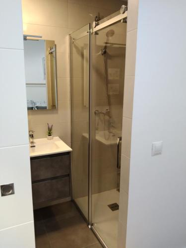 A bathroom at APARTAMENTO EL LLANO