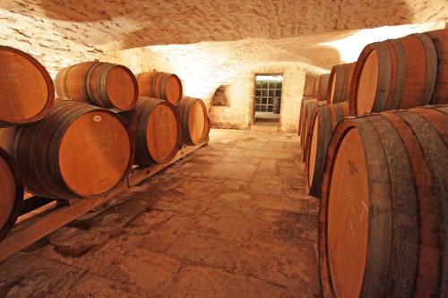 Foto dalla galleria di Au Vieux Moulin a Chablis