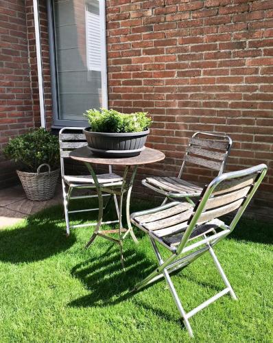 a table and two chairs and a potted plant on a yard at De Bijenkorf in Damme