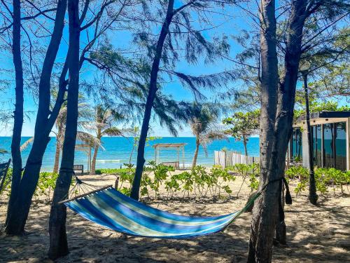 a hammock on the beach with trees at Long Hải Channel Beach Resort in Long Hai