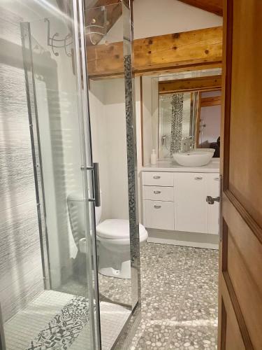 a bathroom with a shower with a toilet and a sink at Super appartement loué meublé tout équipé in Saint-Claude