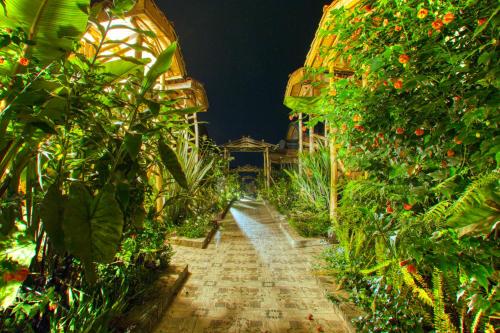 a garden path in a greenhouse at night at Virunga Inn Resort & Spa in Kinigi