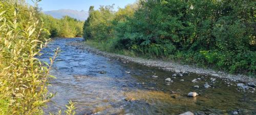a river with rocks and trees on the side of it at Avrigelli baby&kids friendly in Avrig