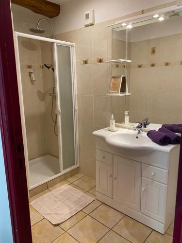 a bathroom with a shower and a sink and a shower at LE GOLURET Chambres & Table d'hôtes - Espace Bien Être in Couvignon