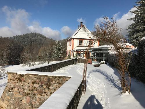 Afbeelding uit fotogalerij van Serviced Apartments Hertingen in Bad Bellingen