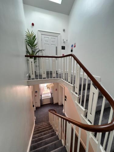 a staircase in a house with a plant at Winckley Square Residences in Preston