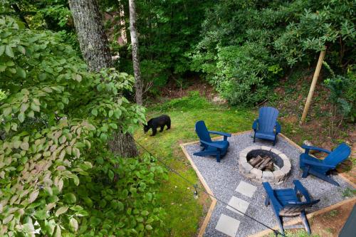 a black bear walking in a yard with chairs and a fire pit at Serenity View- FirePit, Game Room, Community Pools in Gatlinburg
