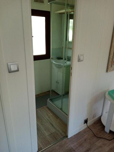 une salle de bain avec une douche en verre et un lavabo dans l'établissement Chalet Agréable, à proximité du centre historique, Golf Academy, à Villeneuve-lès-Avignon