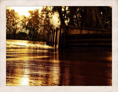 a rain soaked street with a fence and trees at Cabañas Isla San Jose in Tigre