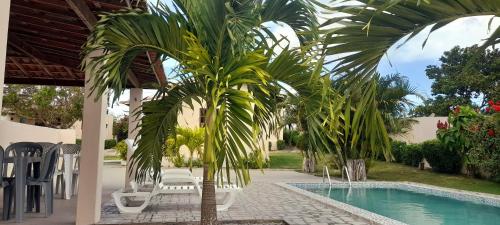 a palm tree sitting next to a swimming pool at Pousada Vale Encantado in Serra de São Bento