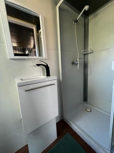 a bathroom with a shower and a sink and a mirror at צימראוון בחוות זית המדבר in Sede Boqer