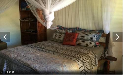 a bedroom with a bed with a canopy and pillows at Morere Jungle Lodge in Moreré