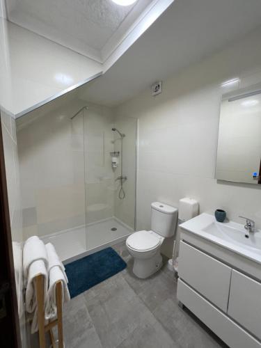 een badkamer met een douche, een toilet en een wastafel bij Residencial Mira-Mar in Peniche