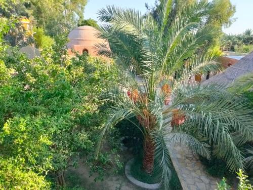 an aerial view of a palm tree in a garden at Rahala Safari Hotel in Qasr Al Farafirah