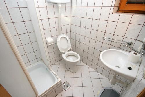 a small bathroom with a toilet and a sink at Apartments with a parking space Povile, Novi Vinodolski - 2398 in Povile