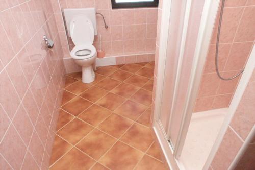 a bathroom with a toilet and a shower stall at Apartments with a parking space Valbandon, Fazana - 2310 in Fondole