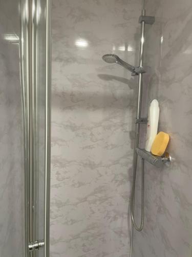 a shower with a glass door in a bathroom at Luton Short Term Lets - Cardiff Road in Luton