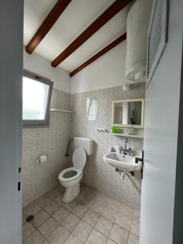 ein Bad mit einem WC und einem Waschbecken in der Unterkunft Elios Summer House in Neo Klima