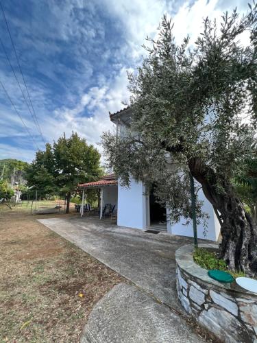 Galeriebild der Unterkunft Elios Summer House in Neo Klima