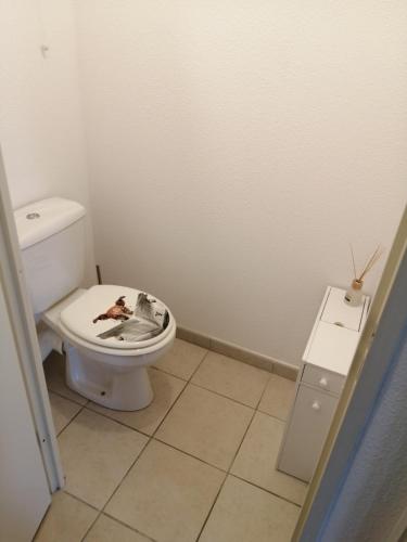 a bathroom with a toilet with a picture on the seat at Le cocon de Marie,piscine, balcon, parking gratuit, baignoire in Carcassonne