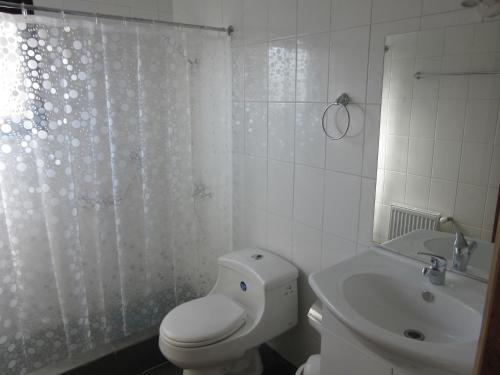 Koupelna v ubytování Cabañas El Roble Lican Ray