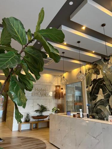Φωτογραφία από το άλμπουμ του Hotel Sexta Avenida Inn σε Montería
