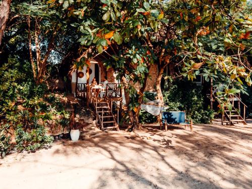 Κήπος έξω από το Sharazad Oasis Retreat