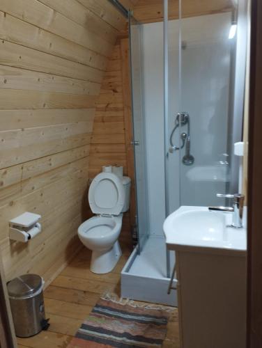 a bathroom with a toilet and a shower and a sink at Quinta do Carvalho - Nature Guest Houses in Guimarães
