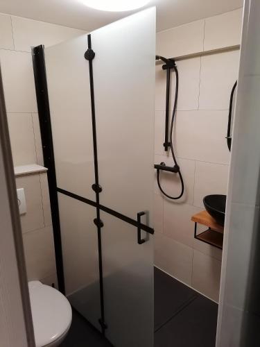 een badkamer met een toilet en een glazen douchedeur bij Les studios du Domaine d'Eva in Libramont
