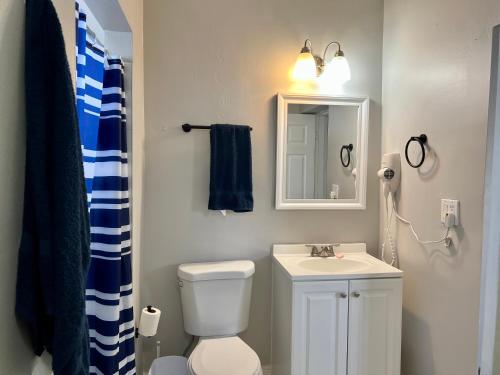 La salle de bains est pourvue de toilettes, d'un lavabo et d'un miroir. dans l'établissement Coral Gable 3BR house Parking &, à Miami