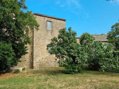 Κήπος έξω από το Partie de Château du XI ieme à Canet d'Aude