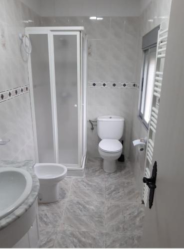 a bathroom with a toilet and a shower and a sink at Casa Arroyo de la Celada in Riópar