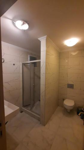 a bathroom with a shower and a toilet at Galata Life Istanbul in Istanbul