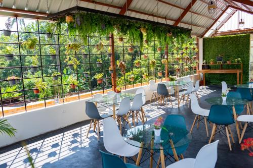 a restaurant with tables and chairs and plants at Fanda in Sauce