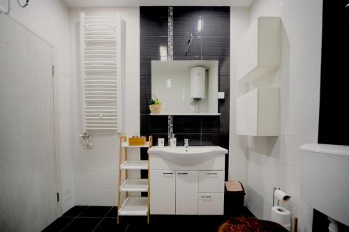 uma casa de banho com um lavatório branco e azulejos pretos em Ring Inn Apartments em Obrenovac