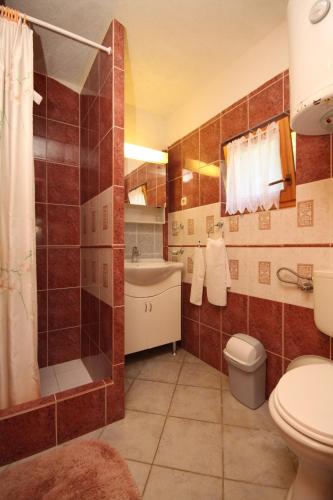a bathroom with a toilet and a shower and a sink at Apartments with parking space Rukavac - Vis - 2444 in Rukavac