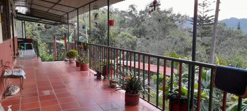 a balcony with potted plants on it with a view at RANCHO DE YEIDY in La Vega
