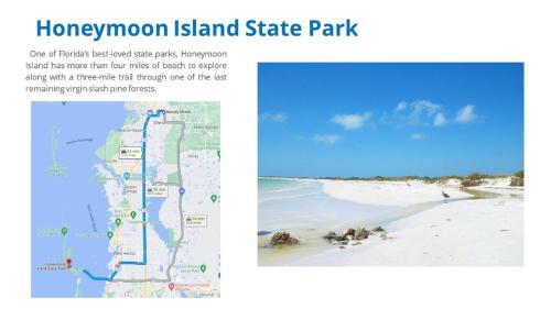 Gallery image of Cozy 3-bed home close to beautiful beaches. in New Port Richey