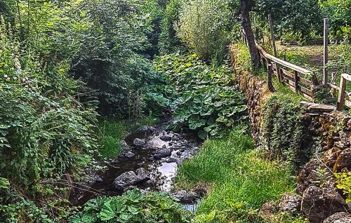 a stream in a field next to a wooden fence at Nice Apartment In Santo Stefano D'aveto in Santo Stefano dʼAveto