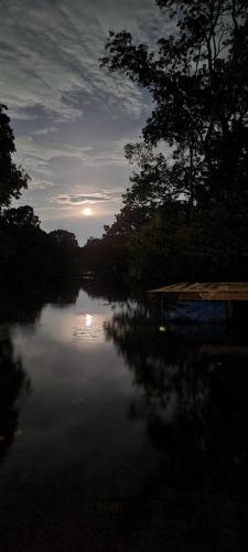 a view of a river with the sun setting at Refúgio Samauma in Manaus
