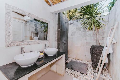 baño con lavabo, espejo y palmera en Villa Escape, en Nusa Lembongan