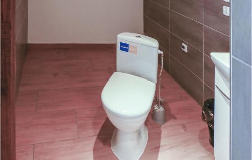 a white toilet in a bathroom with a sink at Nice Studio In Borcz With Kitchen in Borcz