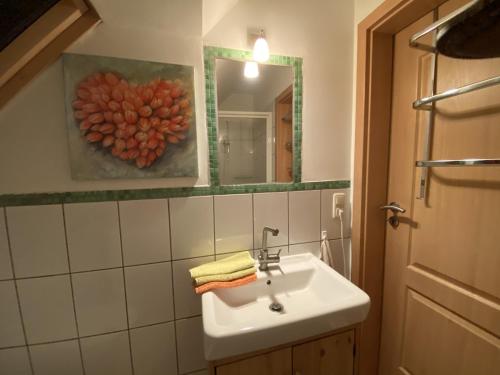 a bathroom with a sink and a mirror at Salzoasen Apartment in Bad Schwartau