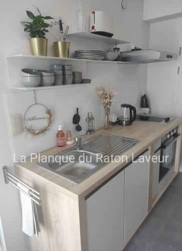 a kitchen with a sink and a counter top at La planque du raton laveur in Lierneux