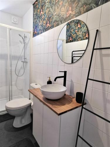 a bathroom with a sink and a toilet and a mirror at Appartement La palette in Villers-Semeuse